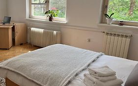 Lovely 2-Bedroom Appartment With Free Parking