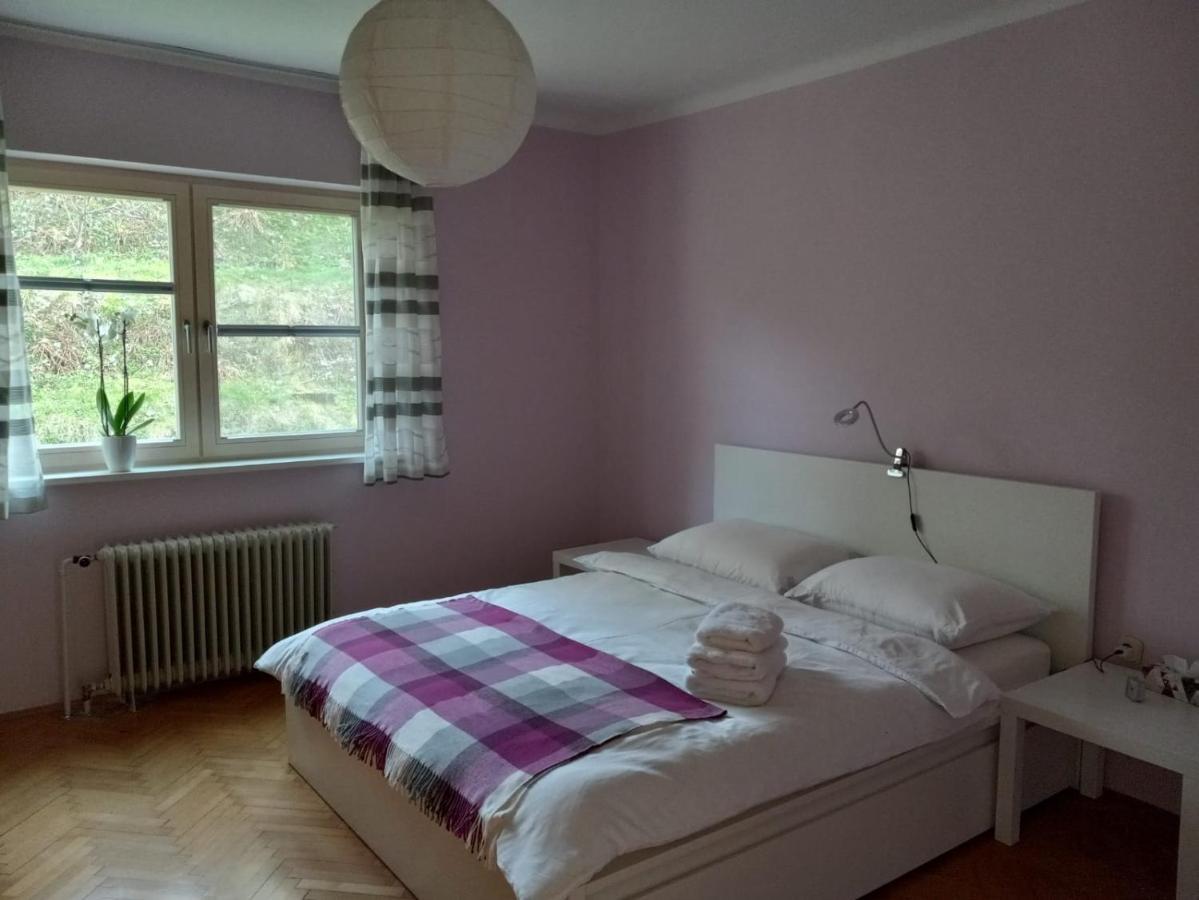 Lovely 2-Bedroom Appartment With Free Parking Dobrova Exterior foto